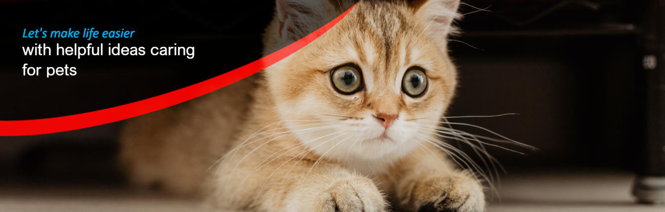 Caring For Your Pets