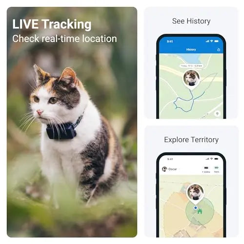 Tractive GPS Cat Tracker Mini | 24/7 Location & Territory | Escape Alerts | Unlimited Range (Blue) + Rogz Breakaway Collar reviewed and rated by Make Life Easier Technologies
