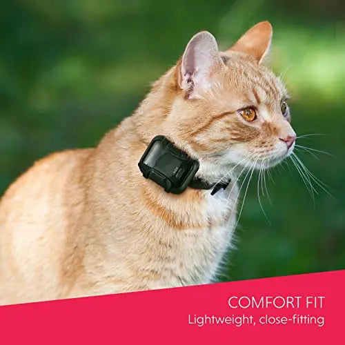 NEW MODEL |4G GPS Cat Tracker | Unlimited Range | Real time and historical tracking | Waterproof | Ubee Cat 4G LTE reviewed and rated by Make Life Easier Technologies