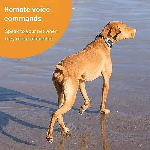 Pawfit 3 GPS Pet Tracker: 4G Real-time & Unlimited Tracking, Built-in LED Light & Speaker, Escape Alert, Voice Recall, IP68 Waterproof GPS Tracker for Dogs & Cats over 3.5KG, Pet Activity Monitor reviewed and rated by Make Life Easier Technologies