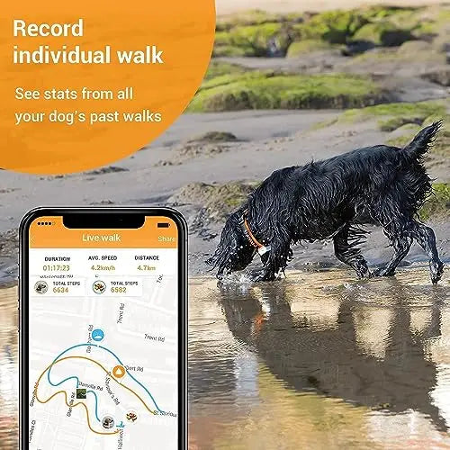 Pawfit 3 GPS Pet Tracker: 4G Real-time & Unlimited Tracking, Built-in LED Light & Speaker, Escape Alert, Voice Recall, IP68 Waterproof GPS Tracker for Dogs & Cats over 3.5KG, Pet Activity Monitor reviewed and rated by Make Life Easier Technologies