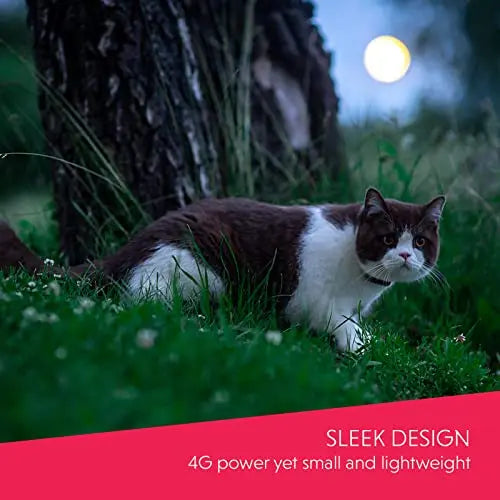 NEW MODEL |4G GPS Cat Tracker | Unlimited Range | Real time and historical tracking | Waterproof | Ubee Cat 4G LTE reviewed and rated by Make Life Easier Technologies
