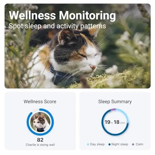 Tractive GPS Cat Tracker Mini | 24/7 Location & Territory | Escape Alerts | Unlimited Range (Blue) + Rogz Breakaway Collar reviewed and rated by Make Life Easier Technologies
