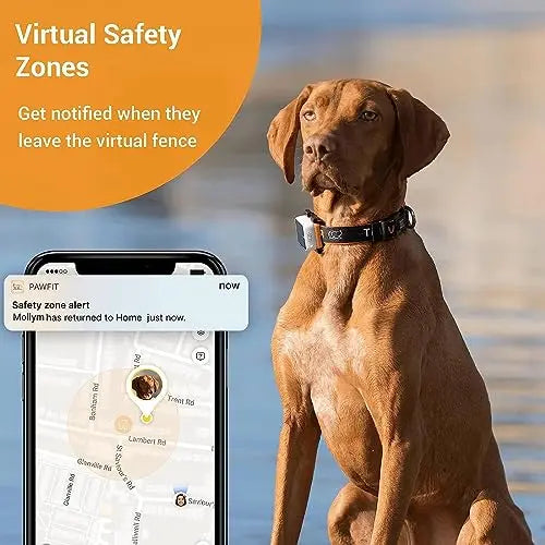Pawfit 3 GPS Pet Tracker: 4G Real-time & Unlimited Tracking, Built-in LED Light & Speaker, Escape Alert, Voice Recall, IP68 Waterproof GPS Tracker for Dogs & Cats over 3.5KG, Pet Activity Monitor reviewed and rated by Make Life Easier Technologies