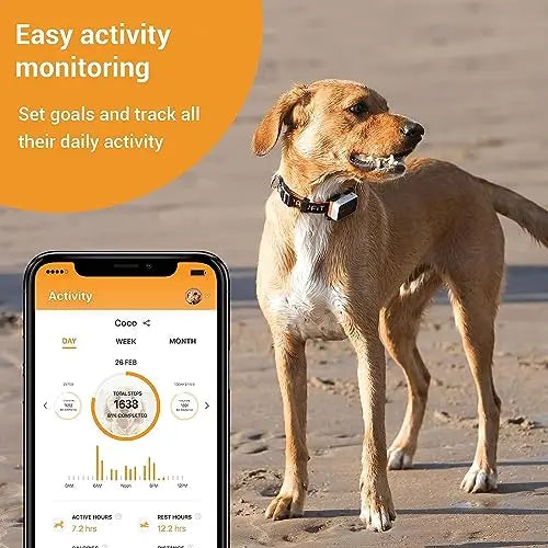 Pawfit 3 GPS Pet Tracker: 4G Real-time & Unlimited Tracking, Built-in LED Light & Speaker, Escape Alert, Voice Recall, IP68 Waterproof GPS Tracker for Dogs & Cats over 3.5KG, Pet Activity Monitor reviewed and rated by Make Life Easier Technologies
