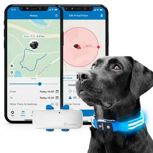 Tractive GPS Dog Tracker + LED Collar. Live Location With Unlimited Range (Blue, S) reviewed and rated by Make Life Easier Technologies