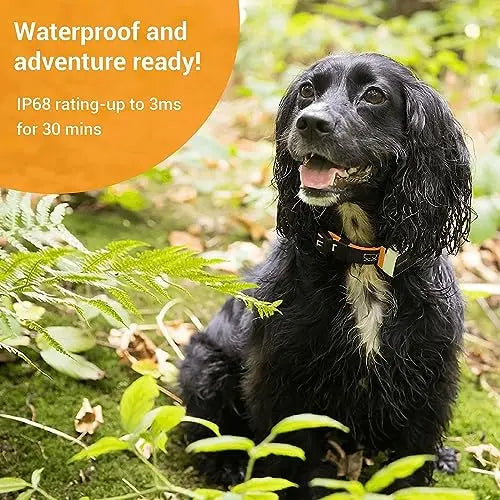 Pawfit 3 GPS Pet Tracker: 4G Real-time & Unlimited Tracking, Built-in LED Light & Speaker, Escape Alert, Voice Recall, IP68 Waterproof GPS Tracker for Dogs & Cats over 3.5KG, Pet Activity Monitor reviewed and rated by Make Life Easier Technologies