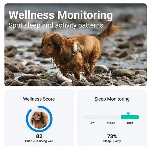 Tractive GPS Dog Tracker | Market leader | Worldwide real time location tracking | Escape Alerts | Monitor Activity & Get Health alerts reviewed and rated by  Make Life Easier Technologies