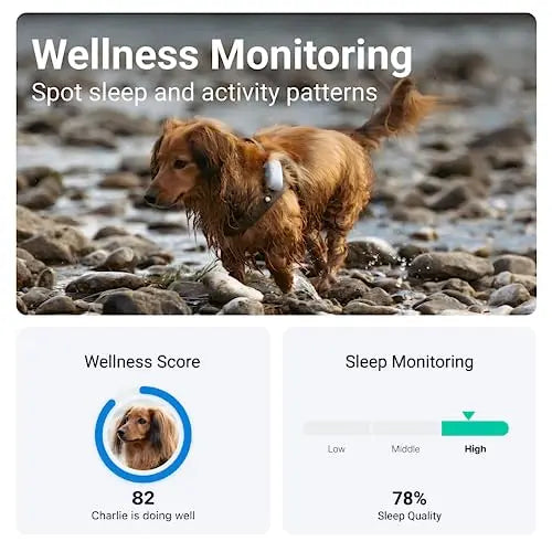 Tractive GPS Dog Tracker | Market leader | Worldwide real time location tracking | Escape Alerts | Monitor Activity & Get Health alerts reviewed and rated by  Make Life Easier Technologies