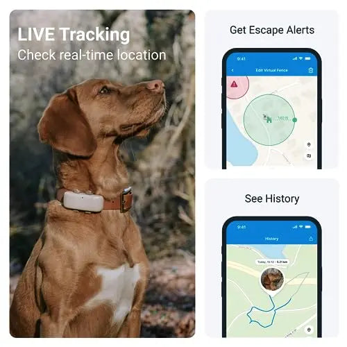 Tractive GPS Dog Tracker | Market leader | Worldwide real time location tracking | Escape Alerts | Monitor Activity & Get Health alerts reviewed and rated by  Make Life Easier Technologies