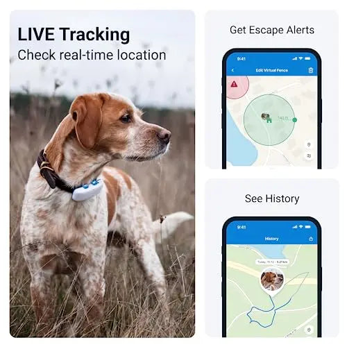 Tractive GPS Dog Tracker | Market leader | Worldwide real time location tracking | Escape Alerts | Monitor Activity & Get Health alerts reviewed and rated by  Make Life Easier Technologies