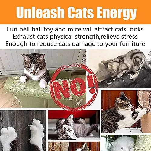 Speedy Panther 21 Pcs Cat Toys for Indoor Cats Collapsible Cat Tunnel Interactive Feather Teaser Wand Ball Toy for Kitten Cats reviewed and rated by  Make Life Easier Technologies